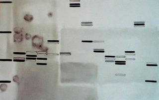 Illustration for article titled DNA Portraits Reveal Your Inner Beauty